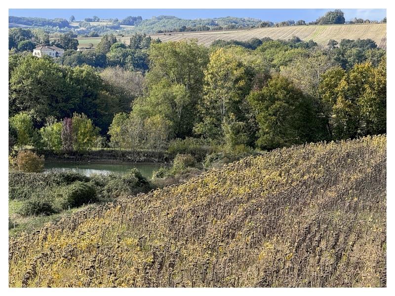 Fermette - 200 m² - 5 pièces