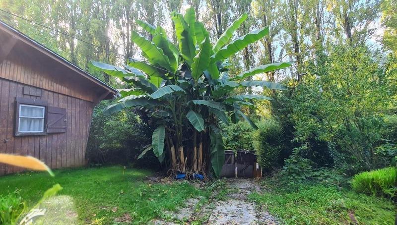 Maison - 50 m² - 4 pièces