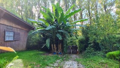 Maison - 50 m² - 4 pièces