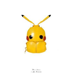 Résidence d'artiste &amp; entomologiste : Patrick Bleuzen