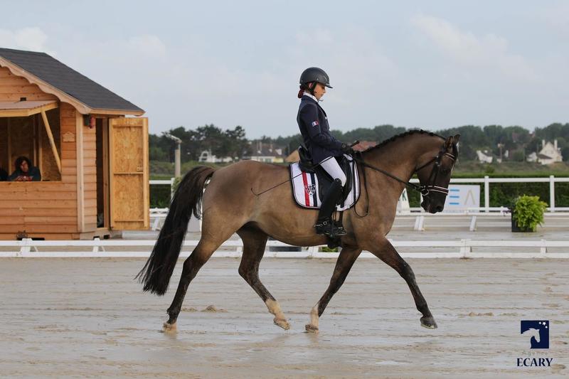 Equitation – Concours de dressage