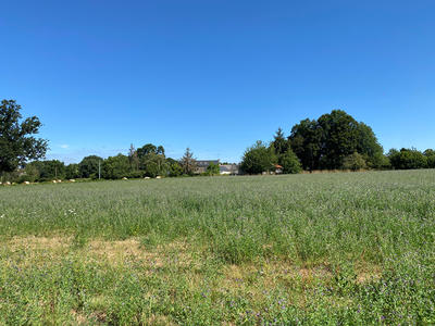 Terrain - 1 576 m²