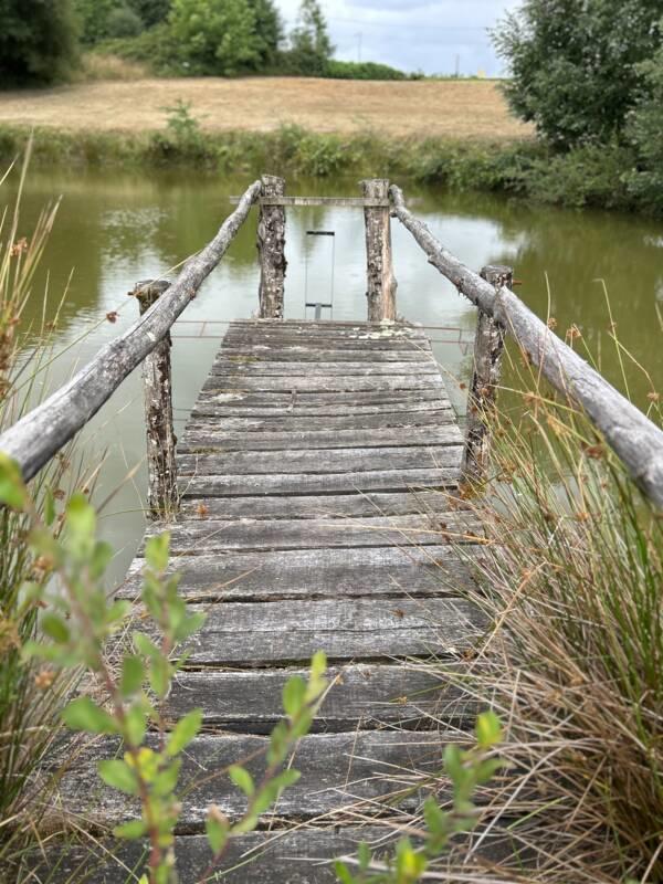 Terrain de loisirs - 9 376 m²