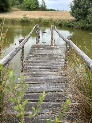 Terrain de loisirs - 9 376 m²