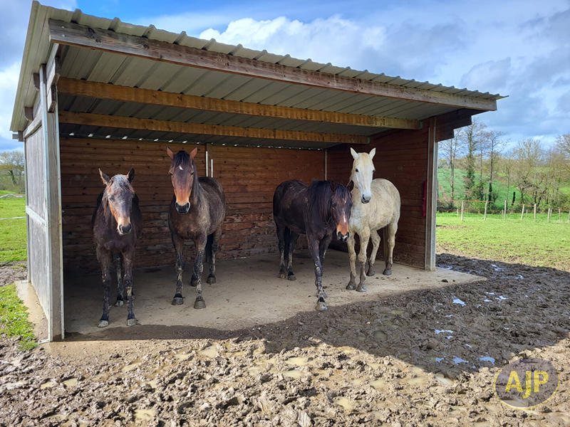 Maison - 139 m² - 5 pièces