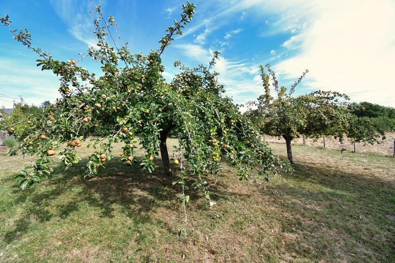 Maison - 185 m² - 6 pièces