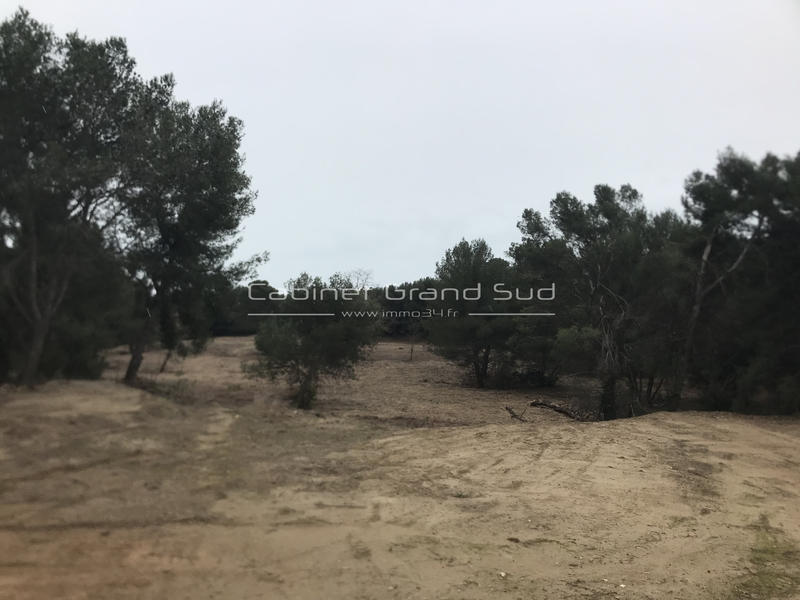 Terrain agricole - 80 839 m²