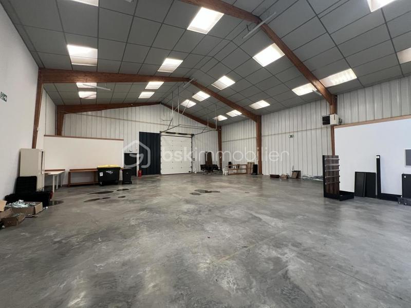 Entrepôt - 280 m² - 3 pièces