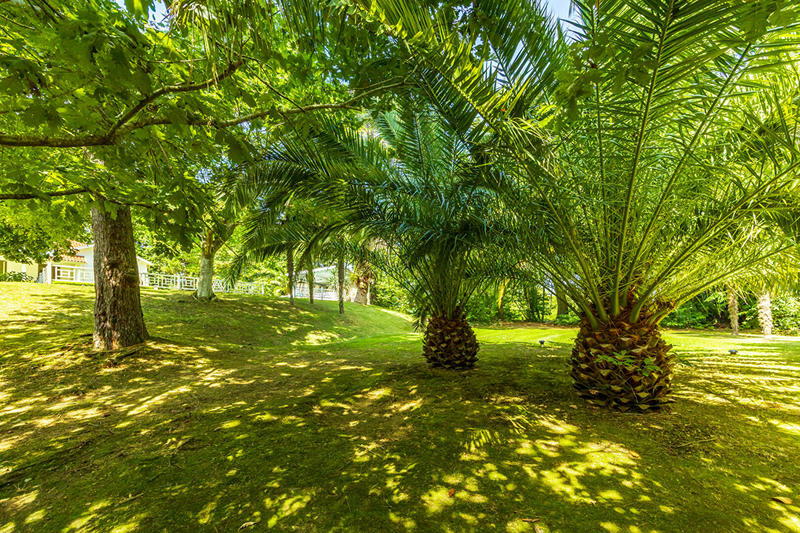 Villa - 255 m² - 6 pièces