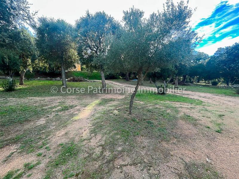 Terrain de loisirs - 1 020 m²