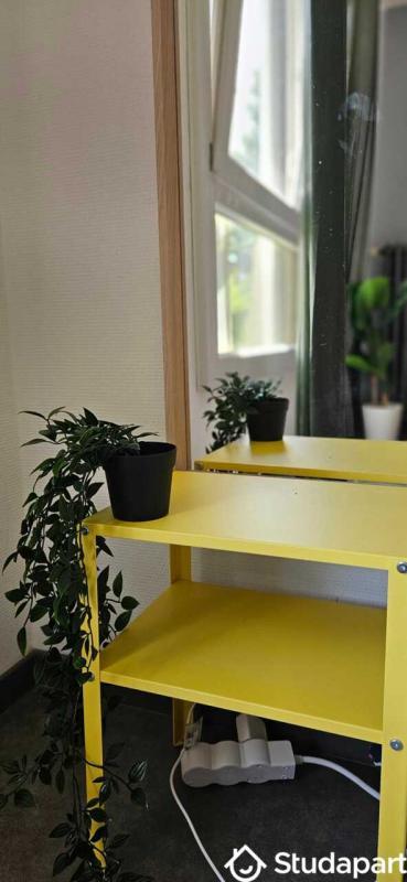 Appartement - 66 m² - 1 pièce