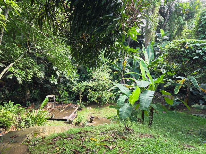 Villa - 180 m² - 9 pièces