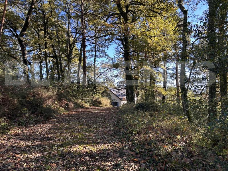 Maison traditionnelle - 130 m² - 7 pièces