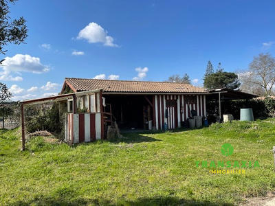 Maison ancienne - 146 m² - 5 pièces