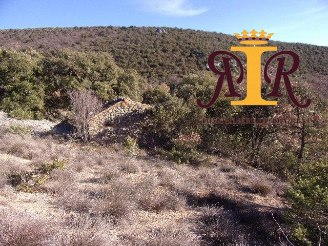 Terrain agricole - 17 700 m²