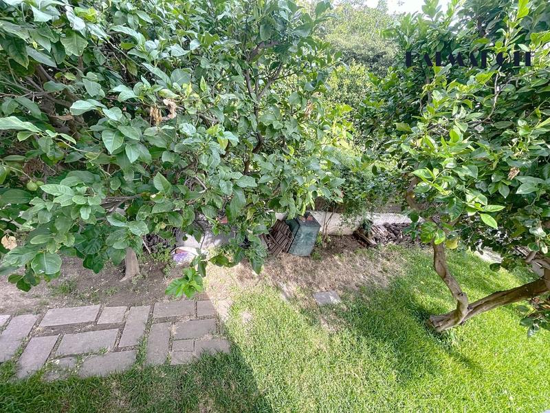 Maison de ville - 156 m² - 6 pièces