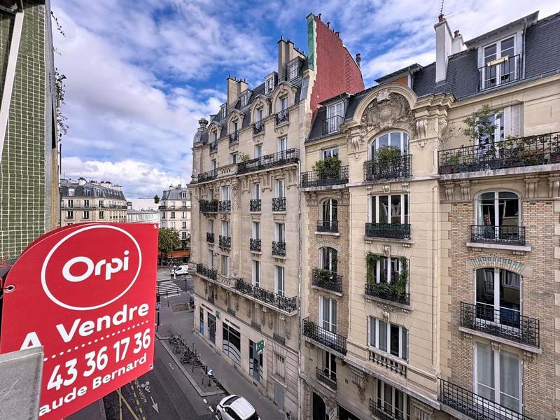 Studio - 36 m² - 1 pièce