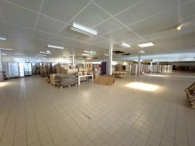 Bureau - 2 266 m² - 6 pièces