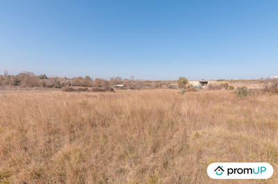Terrain agricole - 5 000 m²