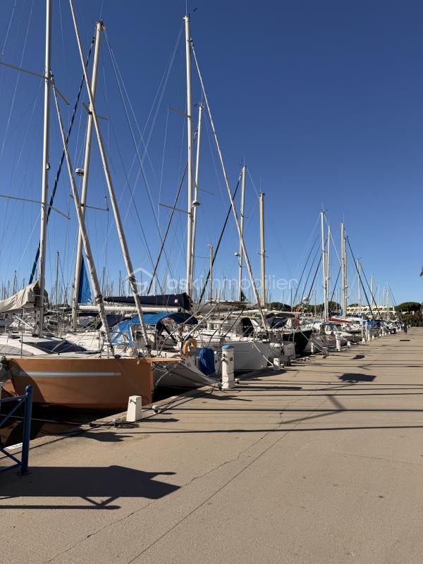 Studio - 23 m² - 1 pièce