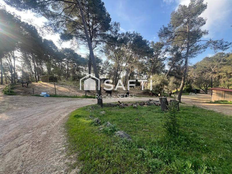 Local commercial - 120 000 m²