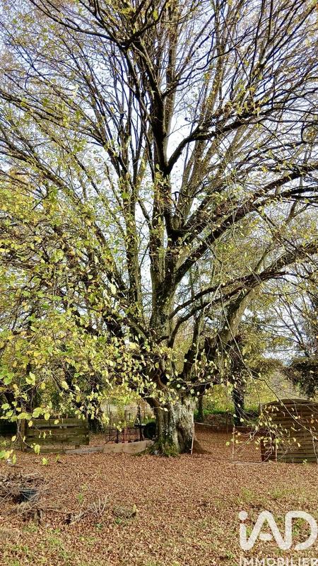 Maison de village - 164 m² - 7 pièces