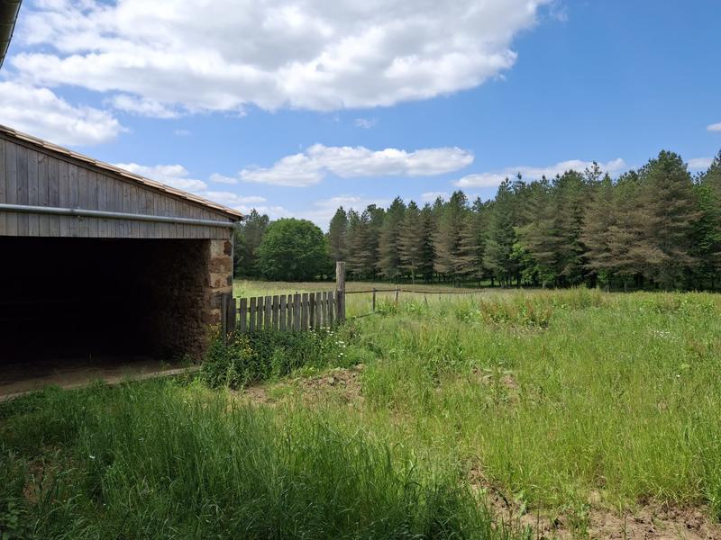 Maison traditionnelle - 216 m² - 5 pièces