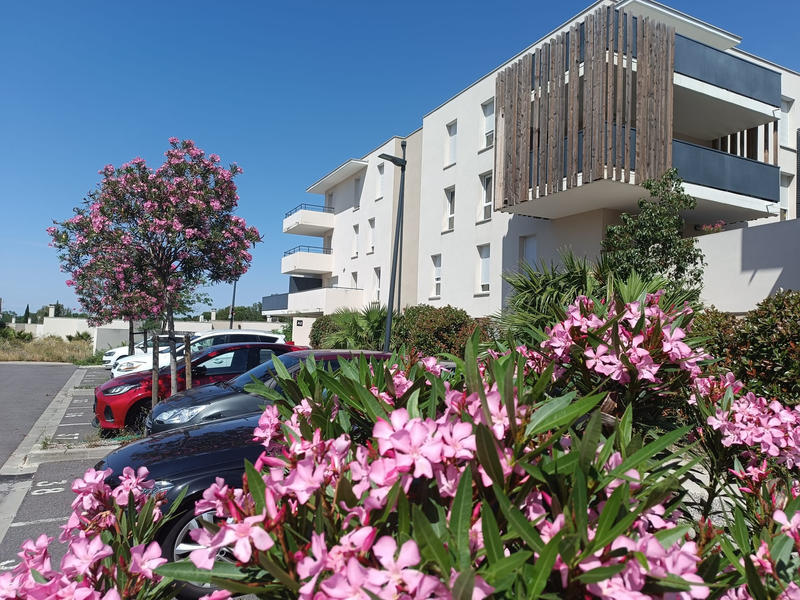 Appartement - 39 m² - 2 pièces