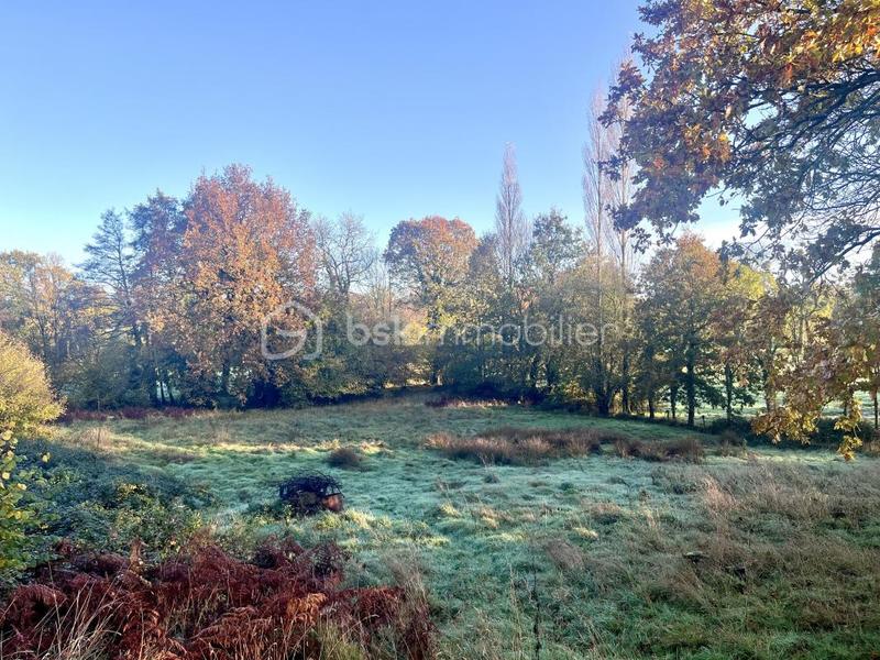 Maison en pierre - 150 m² - 6 pièces