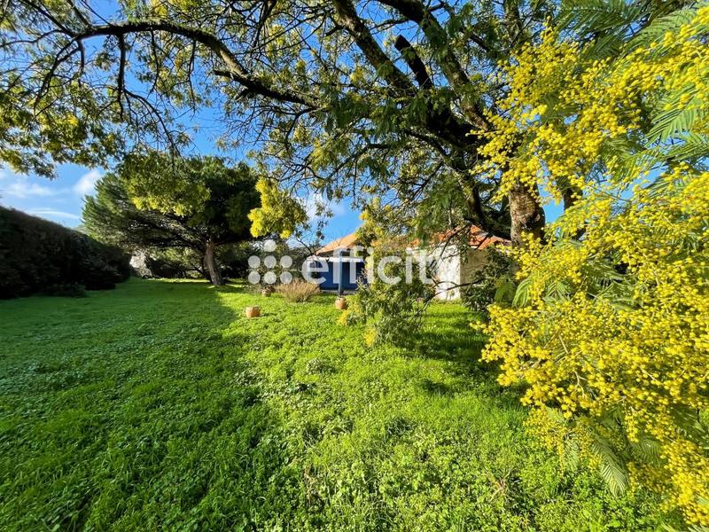 Maison - 151 m² - 7 pièces