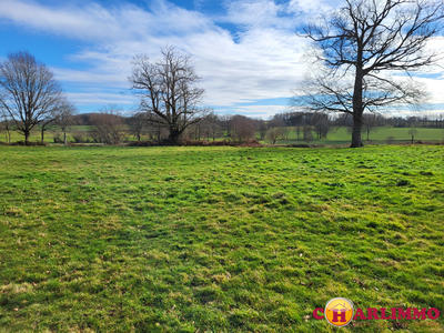 Maison - 262 m² - 7 pièces