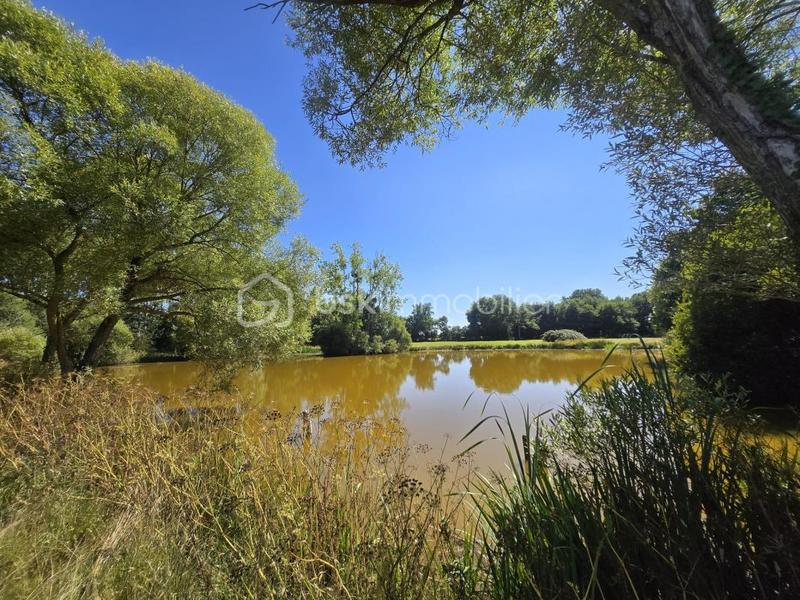 Terrain de loisirs - 45 907 m²