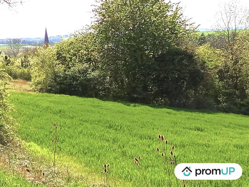 Terrain - 16 000 m²