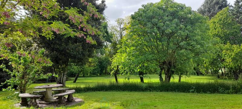 Maison - 205 m² - 7 pièces