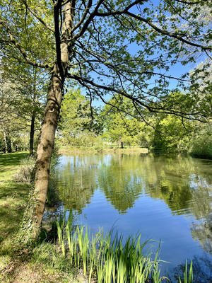 Terrain de loisirs - 5 871 m²