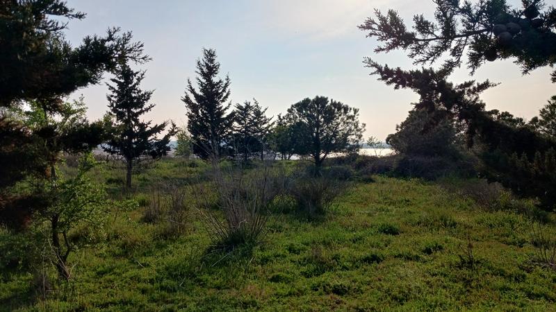 Terrain agricole - 4 323 m²