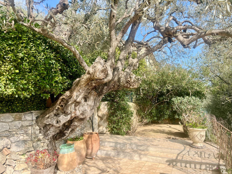 Maison - 200 m² - 6 pièces