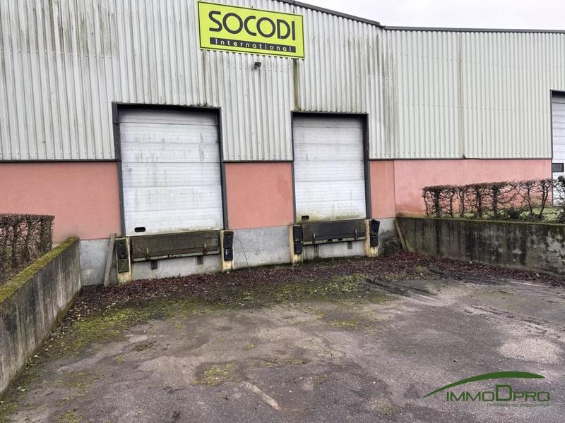 Entrepôt - 747 m²