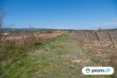 Terrain agricole - 41 115 m²