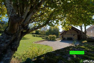 Maison - 290 m² - 11 pièces