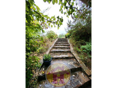 Maison - 181 m² - 6 pièces