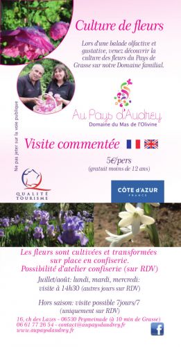 Domaine du Mas de l'Olivine