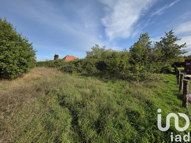 Terrain - 1 831 m²