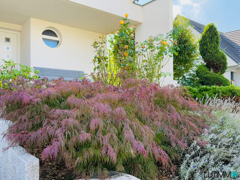 Maison contemporaine - 184 m² - 6 pièces