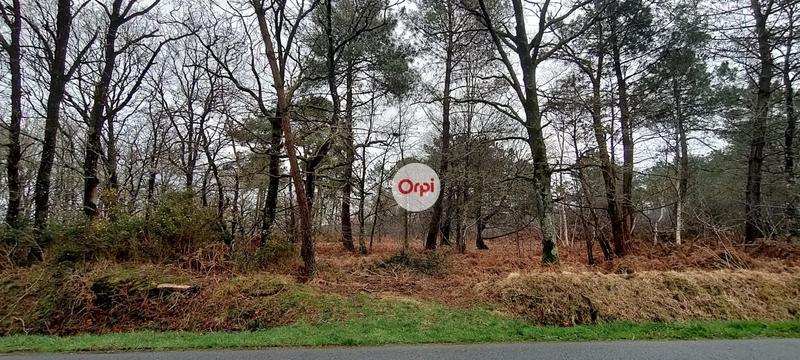 Terrain de loisirs - 49 615 m²