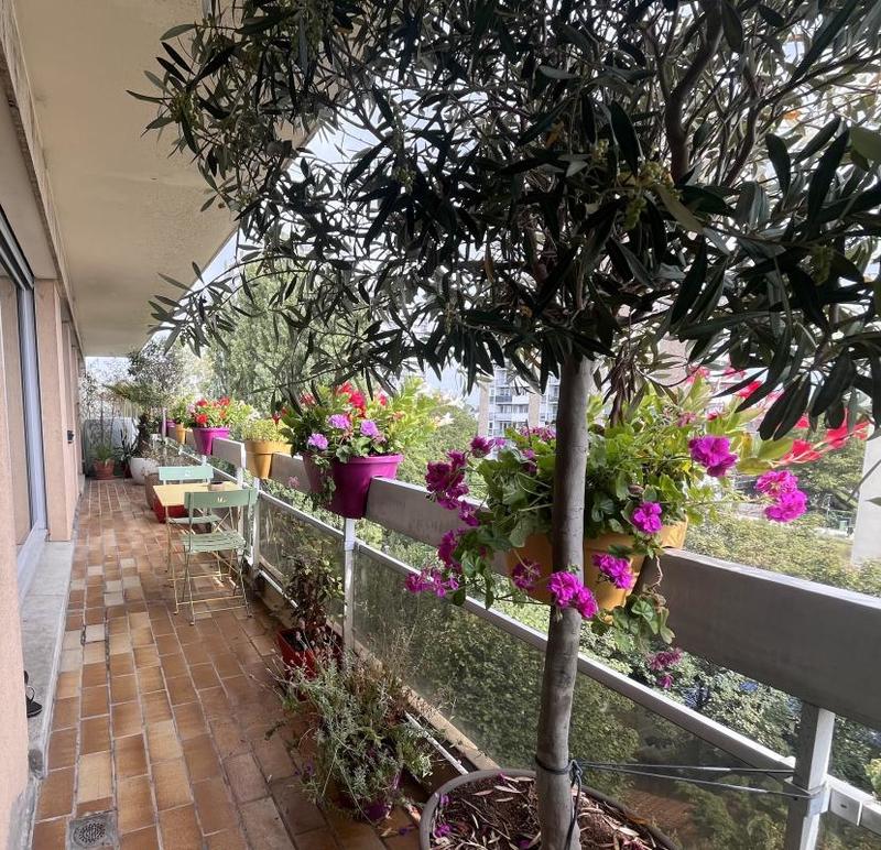 Appartement - 59 m² - 3 pièces