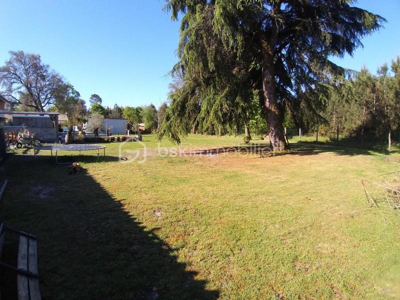 Maison ancienne - 140 m² - 5 pièces