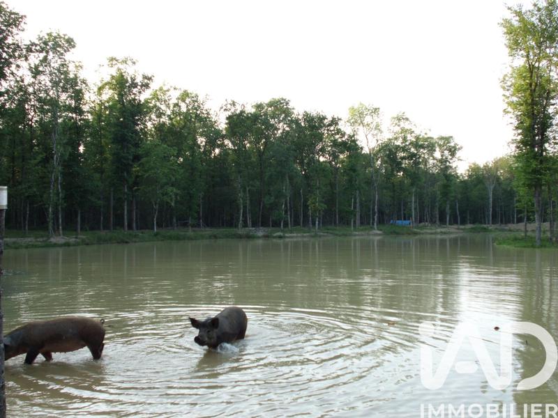 Terrain - 200 000 m²