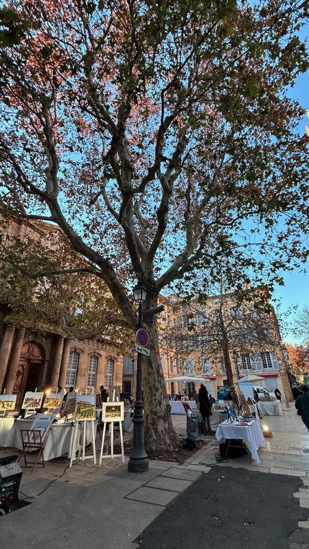 Marché d'artistes d'Art et création du Sud