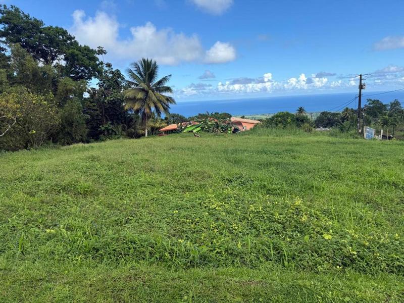 Terrain constructible - 1 389 m²